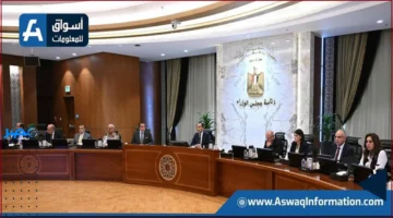 انضمام مصر.. مجلس الوزراء يقر اتفاق تسهيل الاستثمار لتعزيز التنمية الاقتصادية